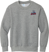 Hartford Jr. Wolfpack Youth Core Fleece Crewneck Sweatshirt